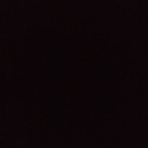 Meet your Posher, Yoselin